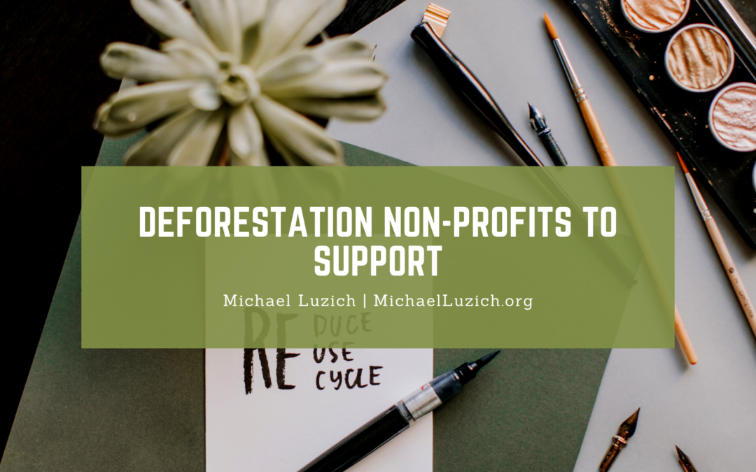 Deforestation Non-Profits to Support