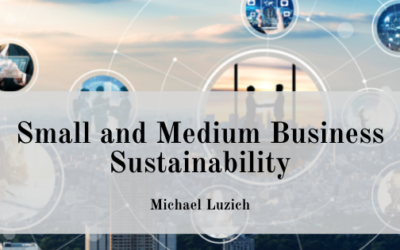 Small and Medium Business Sustainability
