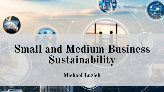 Small and Medium Business Sustainability