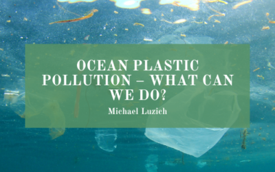 Ocean Plastic Pollution – What Can We Do?