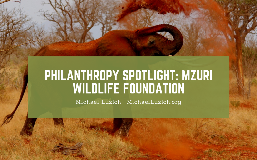 Philanthropy Spotlight: Mzuri Wildlife Foundation
