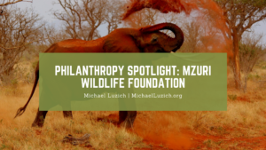 Philanthropy Spotlight Mzuri Wildlife Foundation